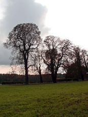 B-Herbststimmung 092.jpg